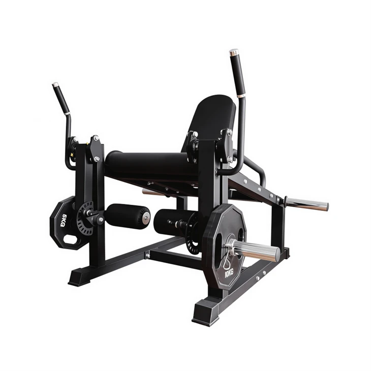 Leg Extension & Curl Machine factory